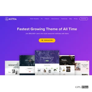 Astra Theme & Astra Pro 3.7.5 & 3.6.3