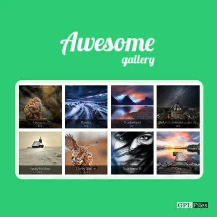 Awesome Gallery - Instagram