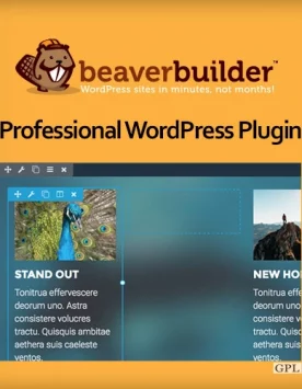 Beaver Builder Professional WordPress Plugin 2.5.4.3