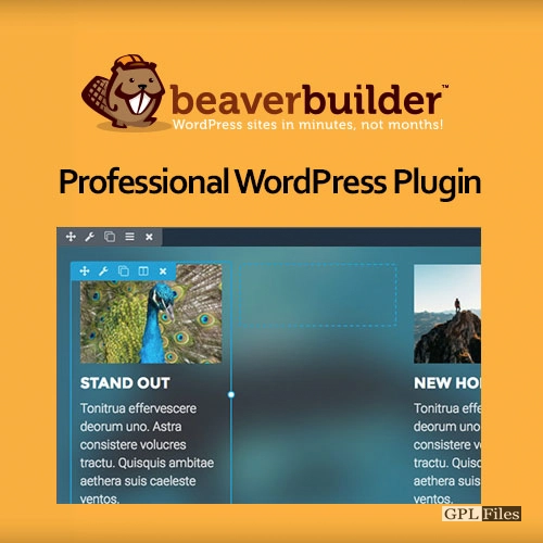 Beaver Builder Professional WordPress Plugin 2.5.4.3