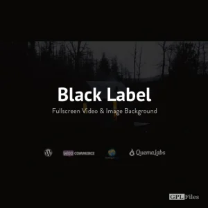 Black Label - Fullscreen Video & Image Background 4.0.14