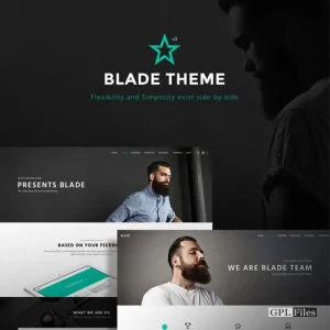 Blade - Responsive Multi-Functional Theme 3.3.9