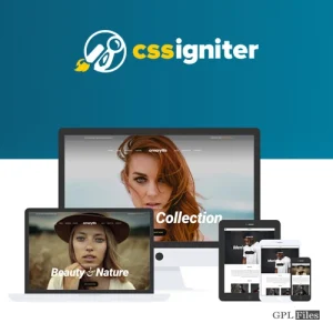 CSS Igniter Amaryllis WordPress Theme 3.1.2