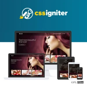 CSS Igniter Beaute WordPress Theme 2.0.4