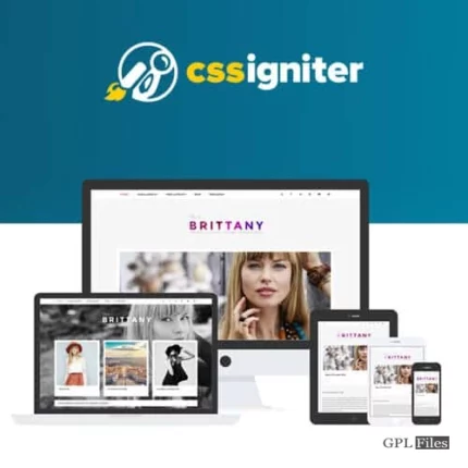 CSS Igniter Brittany WordPress Theme 2.2.1