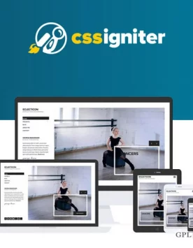 CSS Igniter Eclecticon WordPress Theme 1.3.5
