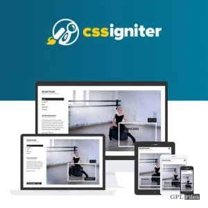 CSS Igniter Eclecticon WordPress Theme 1.3.5
