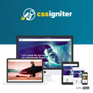 CSS Igniter Flevr Woocommerce Theme 2.3.5