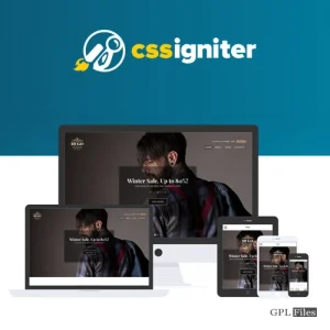 CSS Igniter Hugo Woocommerce Theme 2.2.6