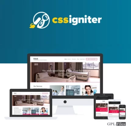 CSS Igniter Medi WordPress Theme 1.7.1