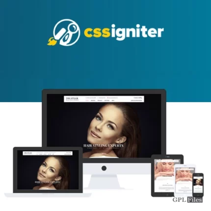 CSS Igniter The Styler WordPress Theme 1.4.4