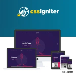 CSS Igniter Vigour WordPress Theme 1.4.6