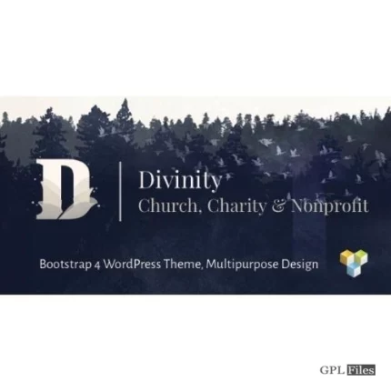 Divinity - Church& Nonprofit wordpress theme 1.3.4