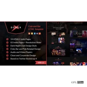 Domex - Night Club WordPress Theme 1