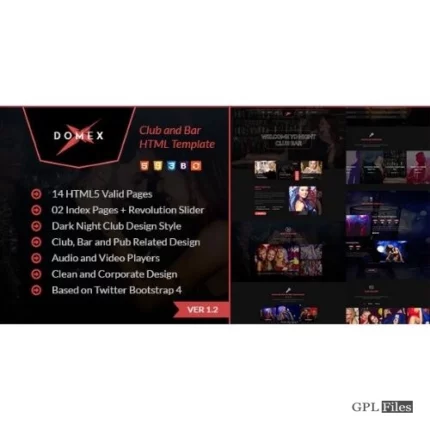 Domex - Night Club WordPress Theme 1