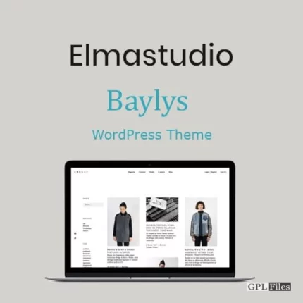 ElmaStudio Baylys WordPress Theme 1.1.6