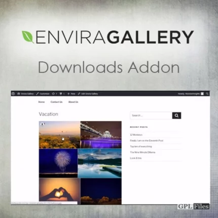 Envira Gallery | Downloads Addon 1.5.4.2