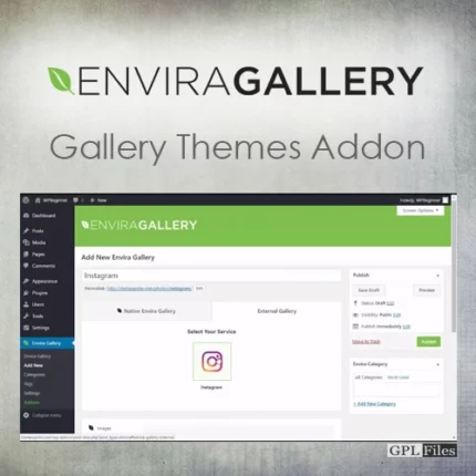 Envira Gallery | Instagram Addon 1.5.7.1