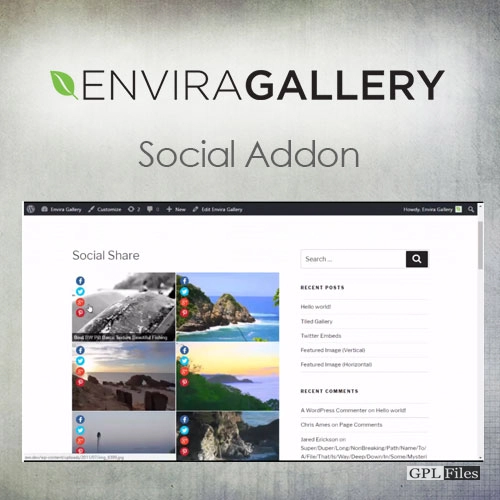 Envira Gallery | Social Addon 1.6.6
