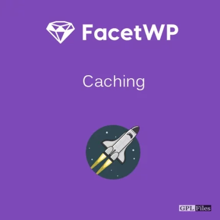 FacetWP | Caching 1.6