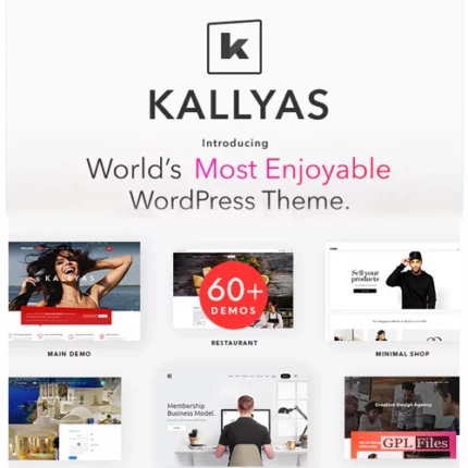 KALLYAS - Creative eCommerce Multi-Purpose WordPress Theme 4.18.1