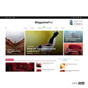 MagPlus Theme 6.2