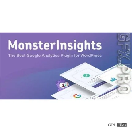 MonsterInsights Ads Tracking Addon 1.0.7