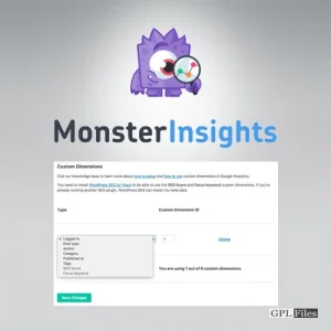 MonsterInsights - Dimensions Addon 2.2.1