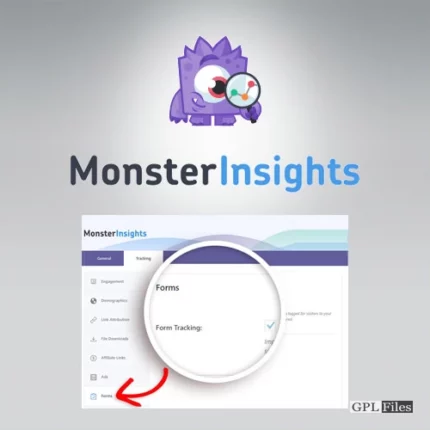MonsterInsights - Forms Tracking Addon 2.2.1