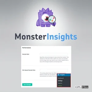 MonsterInsights Performance Addon 1.3.1