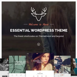 Moose - Creative Multipurpose Theme 3.4