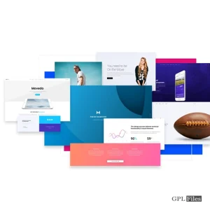 Movedo Theme 3.4.4