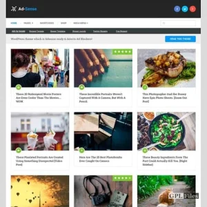 MyThemeShop Ad-Sense WordPress Theme 1.4.4