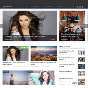MyThemeShop Blogging WordPress Theme 3.1.10