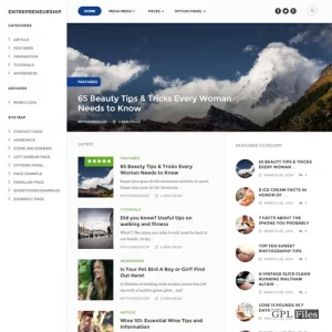 MyThemeShop Entrepreneurship WordPress Theme 1.1.4