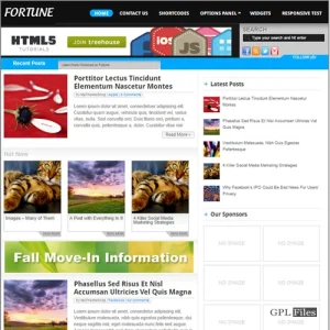 MyThemeShop Fortune WordPress Theme 1.1.1