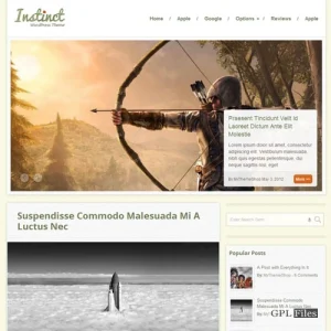 MyThemeShop Instinct WordPress Theme 1.1.2