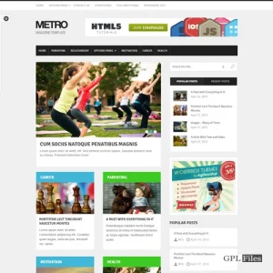 MyThemeShop Metro WordPress Theme 1.3.1