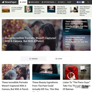 MyThemeShop Newspaper WordPress Theme 2.3.14
