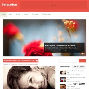 MyThemeShop Saturation WordPress Theme 1.1.1