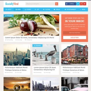 MyThemeShop SociallyViral WordPress Theme 2.4.9