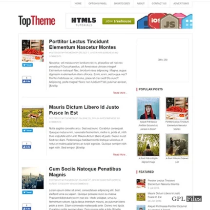 MyThemeShop Top WordPress Theme 1.2.1