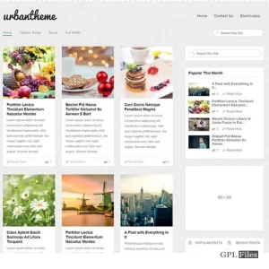 MyThemeShop Urban WordPress Theme 1.1.1