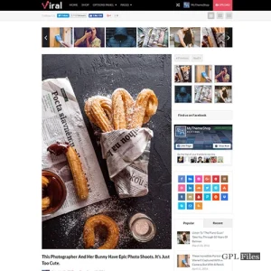 MyThemeShop Viral WordPress Theme 1.1.4