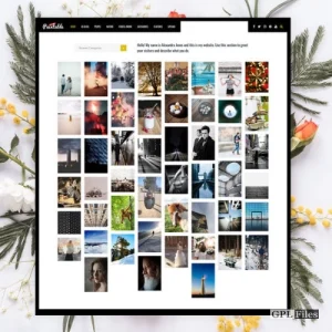 Paintable - Photography / Photos Blog Theme 2.4