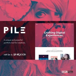 PILE - An Uncoventional WordPress Portfolio Theme 2.3.1