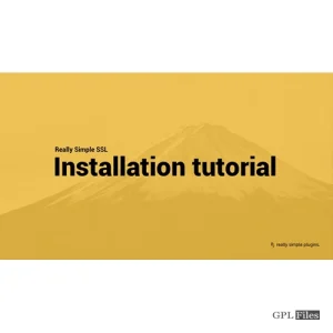 Really Simple SSL Pro 5.2.1