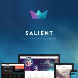 Salient - Responsive Multi-Purpose Theme 14.0.7