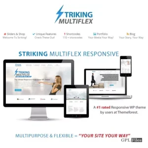 Striking MultiFlex & Ecommerce Responsive WP Theme 2.1.9
