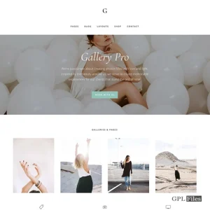 StudioPress Gallery Pro Genesis WordPress Theme 1.2.0